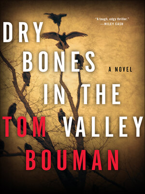 cover image of Dry Bones in the Valley